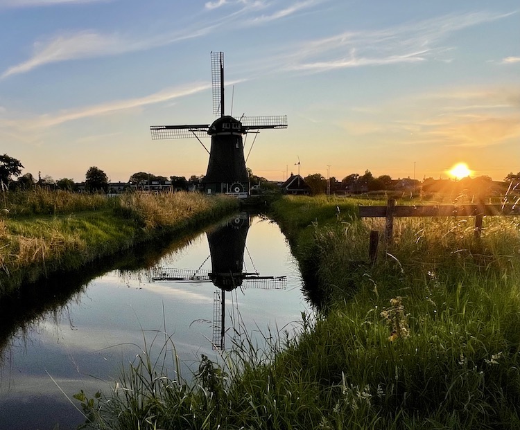 22 molen camper met de bossies