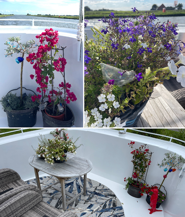 terras juli 25 meerval